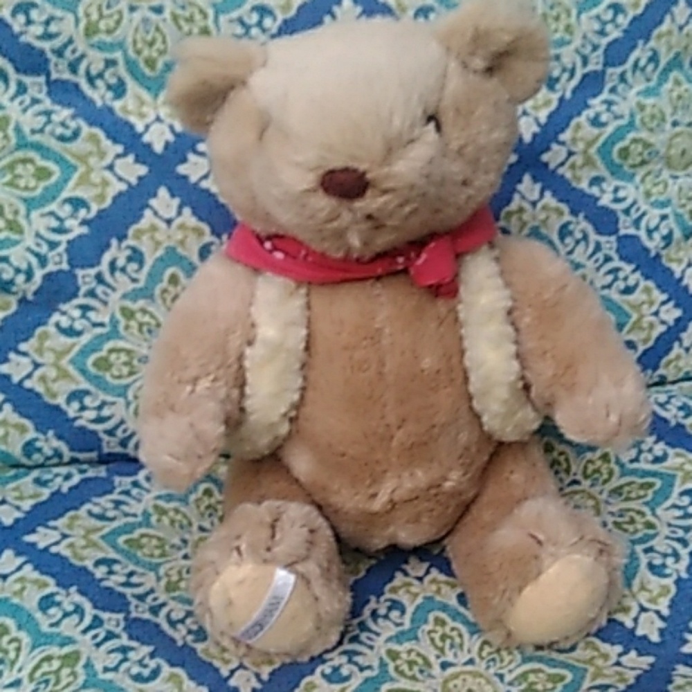 Cowboy Teddy Bear needs home